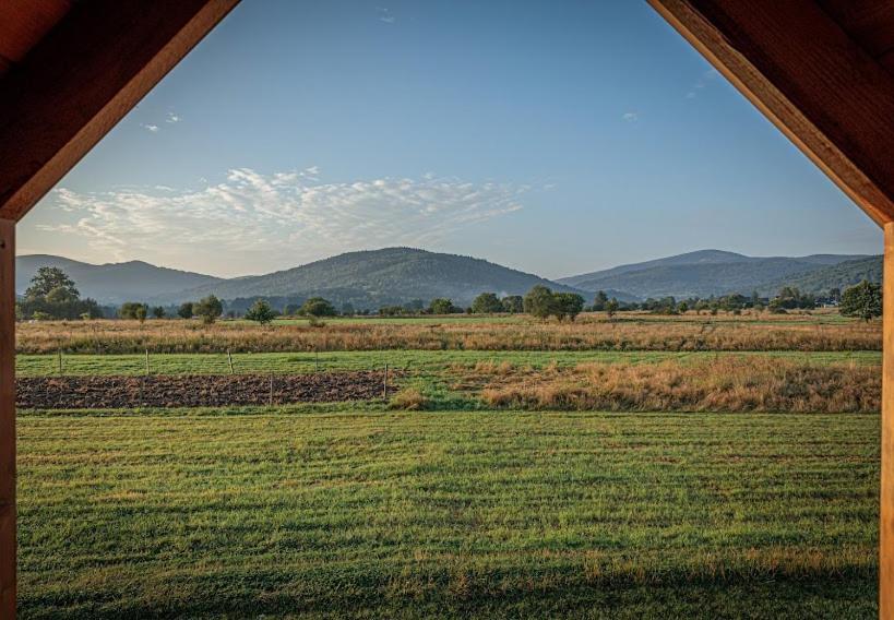 Апартаменты Domki U Anitki I Nikosia Елесня Экстерьер фото